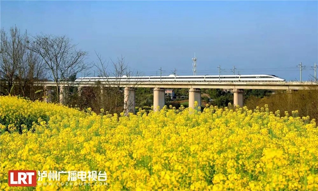 多趟高铁车次加开！绵阳-泸州、泸州-成都东……