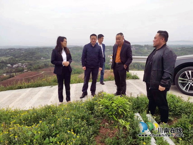 民建基层委调研中药材种植基地1.jpg