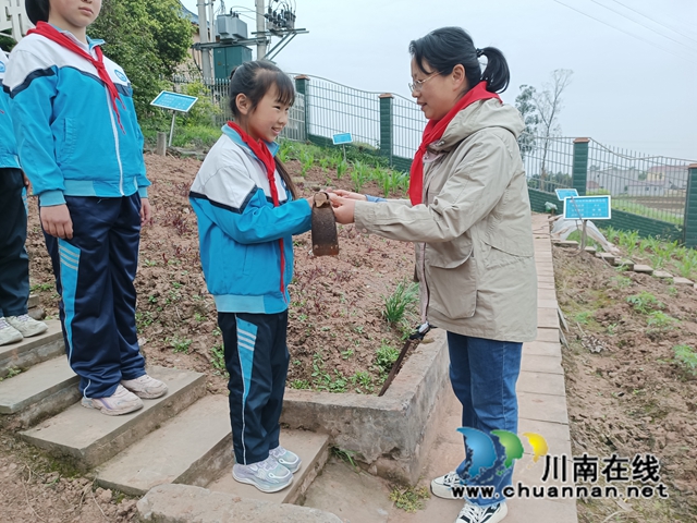3.简单的仪式过后，老师和孩子们带着秧苗，拿上锄头走进地里，开启春耕第一锄。.jpg