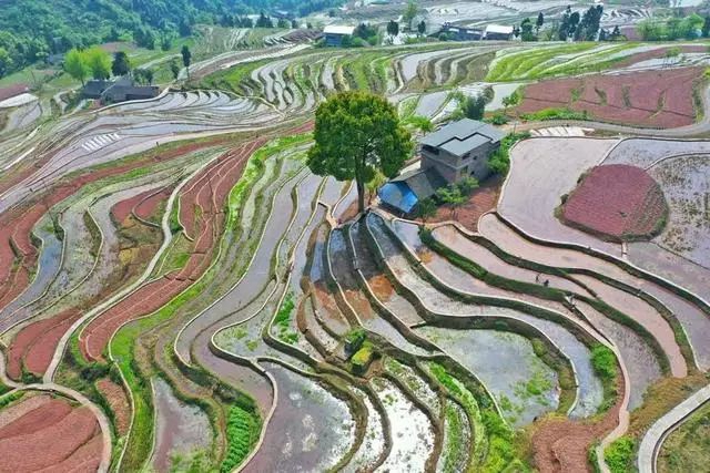 【名县创建看古蔺】4月28日,古蔺德耀开犁节等你来……(图1) 1.jpg