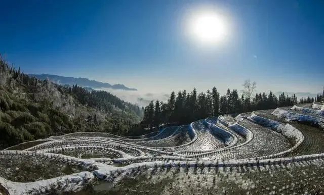 【名县创建看古蔺】4月28日,古蔺德耀开犁节等你来……(图7) 7.jpg