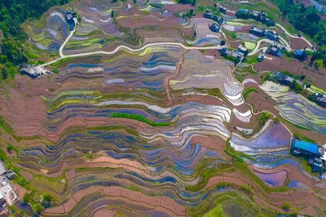 【名县创建看古蔺】4月28日,古蔺德耀开犁节等你来……(图17) 17.jpg