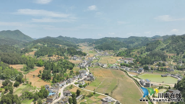 古蔺:25万亩高粱全面进入移栽阶段(图14) 14.jpg