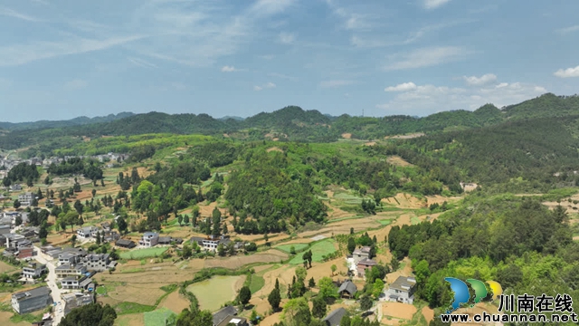 古蔺:25万亩高粱全面进入移栽阶段(图13) 13.jpg