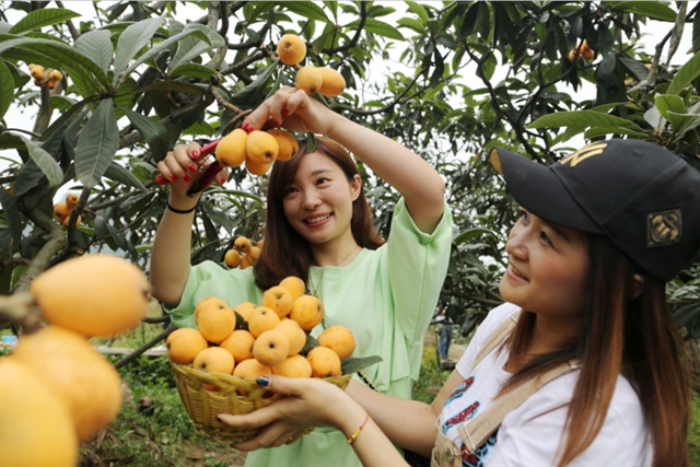 纳溪:农旅融合承载乡村振兴“大前景”(图2) 前景2.jpg