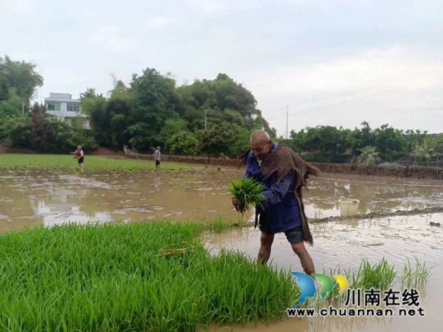 合江县:谷雨时节春耕忙(图4) 春4.jpg
