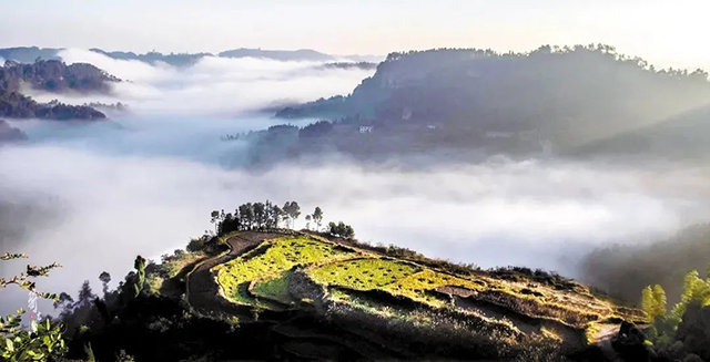 【“趣”享五一,奇遇内江】何必去黄山睡厕所,内江这些山风景一样的好——(图9) 9.jpg