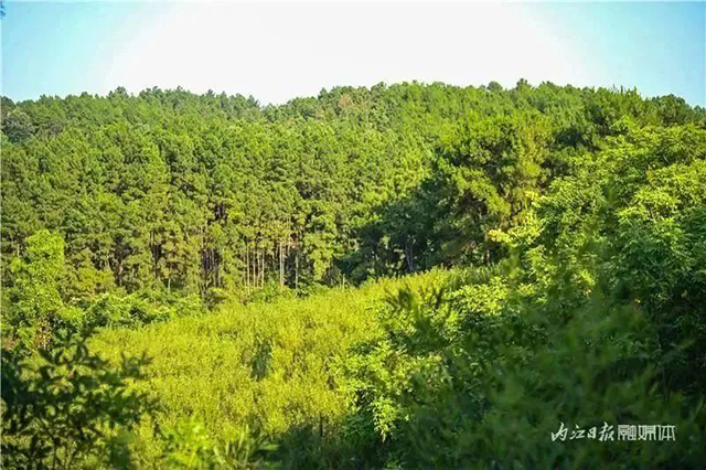 【“趣”享五一,奇遇内江】何必去黄山睡厕所,内江这些山风景一样的好——(图3) 3.jpg