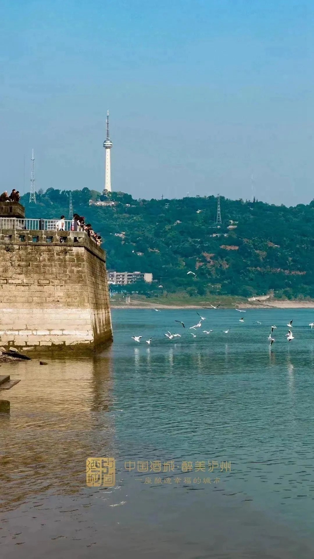 打卡东门口热度不减,古与今的醉美穿越(图4) 4.jpg