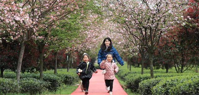 她,入选四川省文化产业赋能乡村振兴试点区(图13) 13.jpg