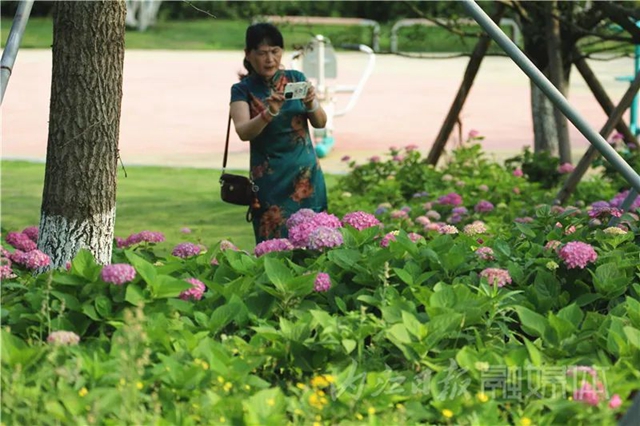 快来看!内江大自然“抛”绣球了(图9) 9.jpg