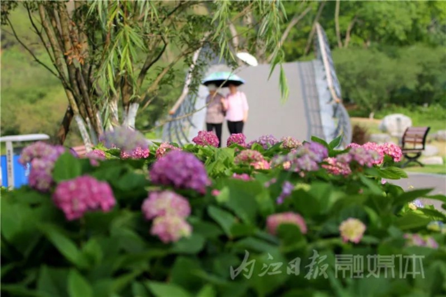 快来看!内江大自然“抛”绣球了(图8) 8.jpg