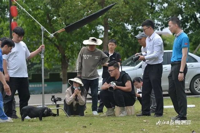 嘿！这几个“小黑娃”，成了内江的“大明星”