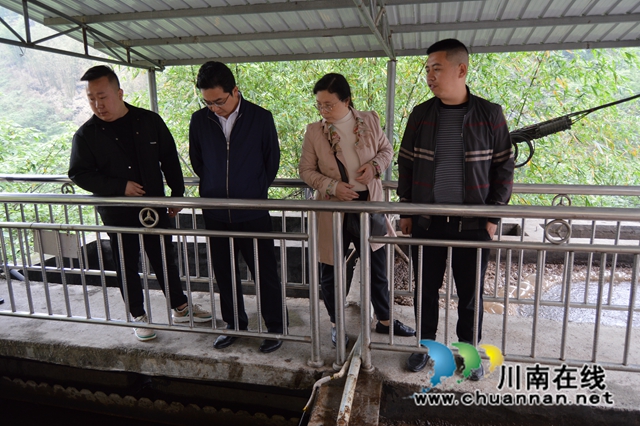 检查组现场照片2.JPG