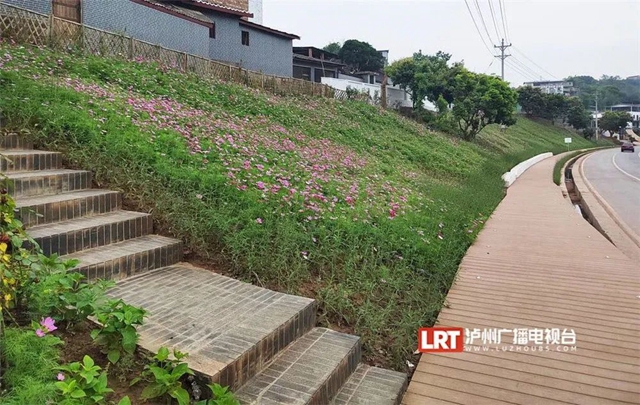 泸州沱江骑游道丨网红桥、无边界泳池......(图3) 3.jpg