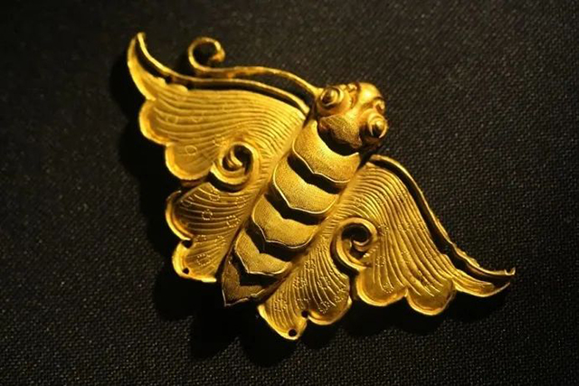 国际博物馆日 | 泸州博物馆系列精彩活动抢先看!(图16) 16.jpg