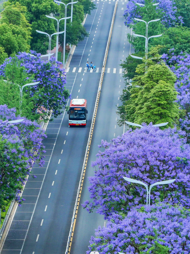 浪漫不止214路，泸州公交这些线路也可载您去遇见美好~