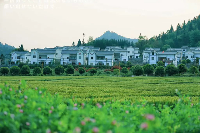 中国旅游日丨古蔺:每时每刻皆有诗意......(图8) 8.jpg