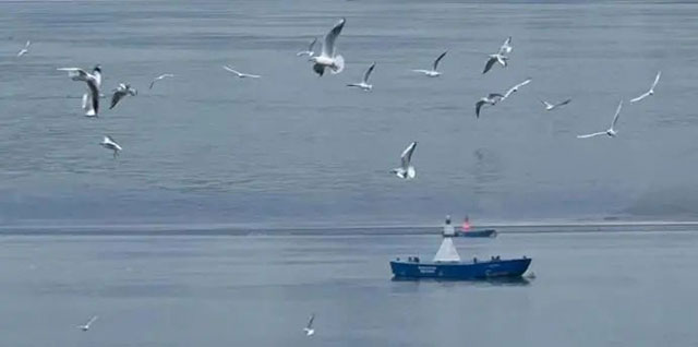 长江泸州段水运经济“含绿量”攀升