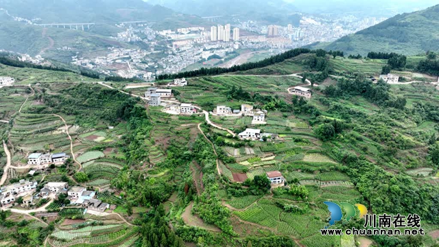 古蔺:县城周边有个“高山蔬菜村”(图13) 微信图片_20230609165336.jpg