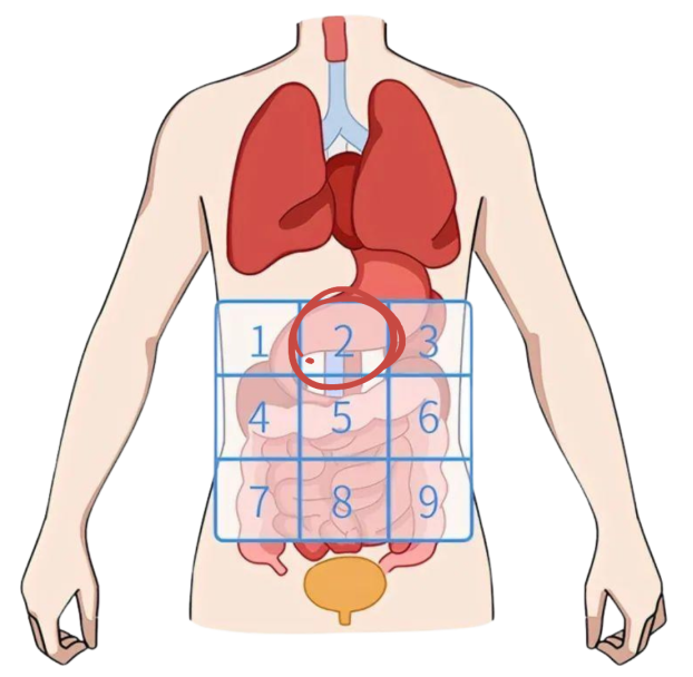 后腹部疼痛9位置图图片