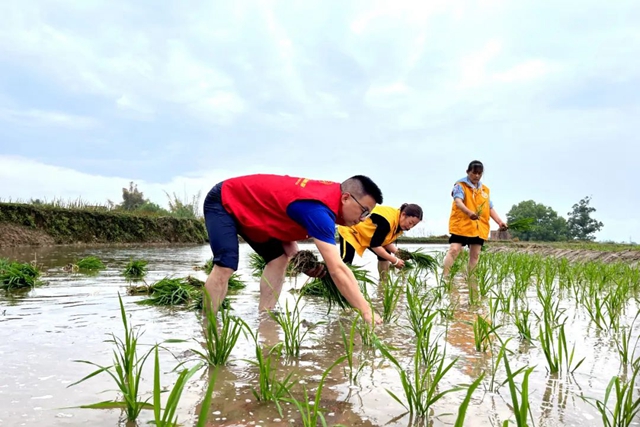 人大代表履职担当办实事儿,进家入站服务为人民!(图4) 4.jpg