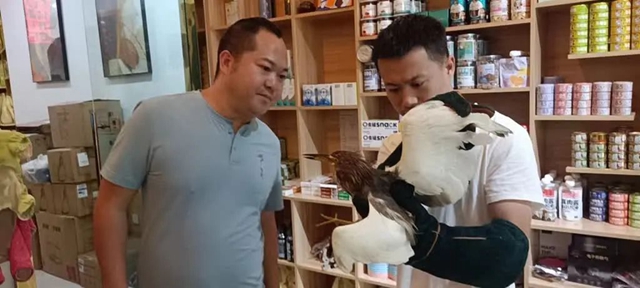 长嘴、细脖、绿长腿……古蔺村民发现受伤“怪鸟”,一查身份不简单(图3) 3.jpg