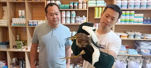 长嘴、细脖、绿长腿……古蔺村民发现受伤“怪鸟”,一查身份不简单(图2) 2.jpg