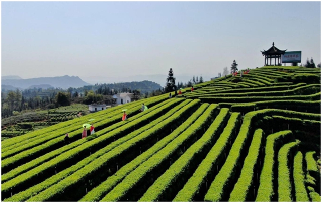 泸州三地上榜省级名单!皆是风景如画……(图2) 2.jpg