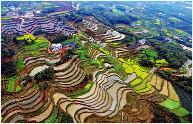 泸州三地上榜省级名单!皆是风景如画……(图4) 4.jpg