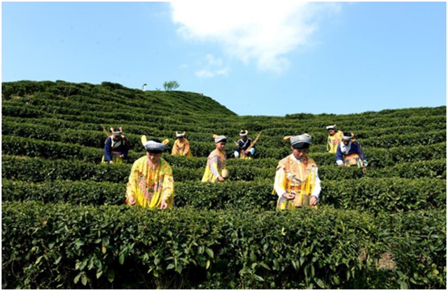 泸州三地上榜省级名单!皆是风景如画……(图13) 13.jpg