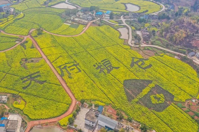 26个项目签约,泸州这场投资推介会收获满满(图8) 8.jpg