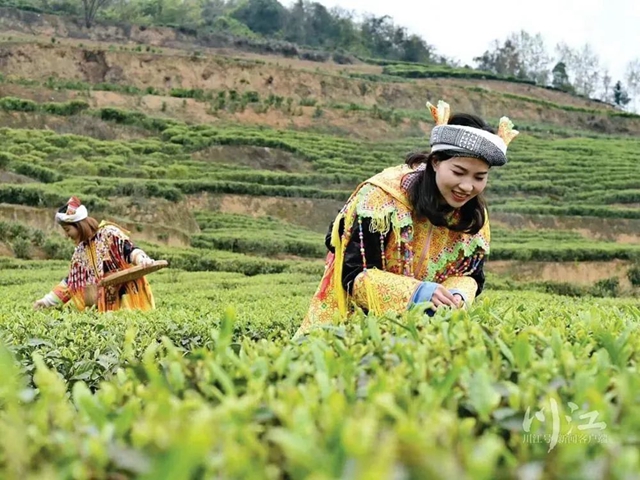 省级乡村旅游重点村名单公示,古蔺这个村入选!(图2) 1.jpg