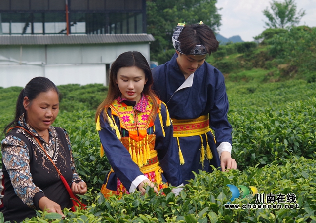 古蔺:大学生直播助农,为乡村振兴注入青春涌流(图4) 大学生直播助农 为乡村振兴注入青春涌流1.jpg