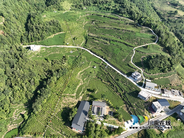 古蔺:大学生直播助农,为乡村振兴注入青春涌流(图6) 大学生直播助农 为乡村振兴注入青春涌流5.jpg