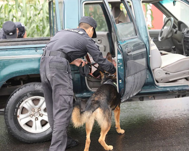 精彩!硬核!直击泸县2023反恐防暴演练现场(图38) 38.jpg