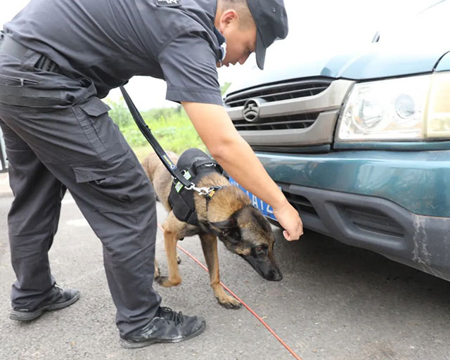 精彩!硬核!直击泸县2023反恐防暴演练现场(图37) 37.jpg