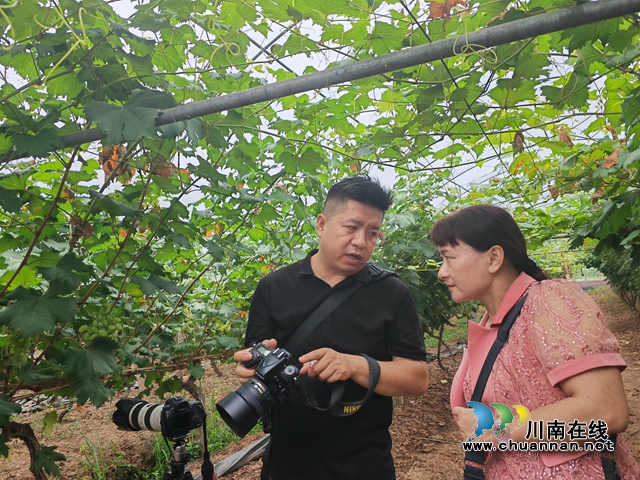 捕捉丰收的喜悦!泸县摄影培训班“开进”果田花乡葡萄园(图4) 探讨摄影技术(曾佐然摄).jpg
