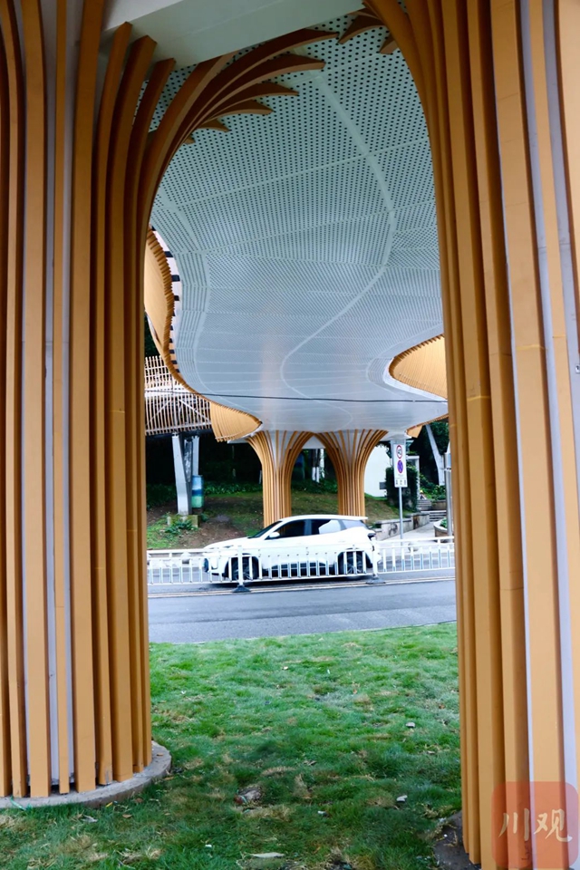 登山观景!宜宾翠屏山“空中栈道”正式开放(图3) 3.jpg