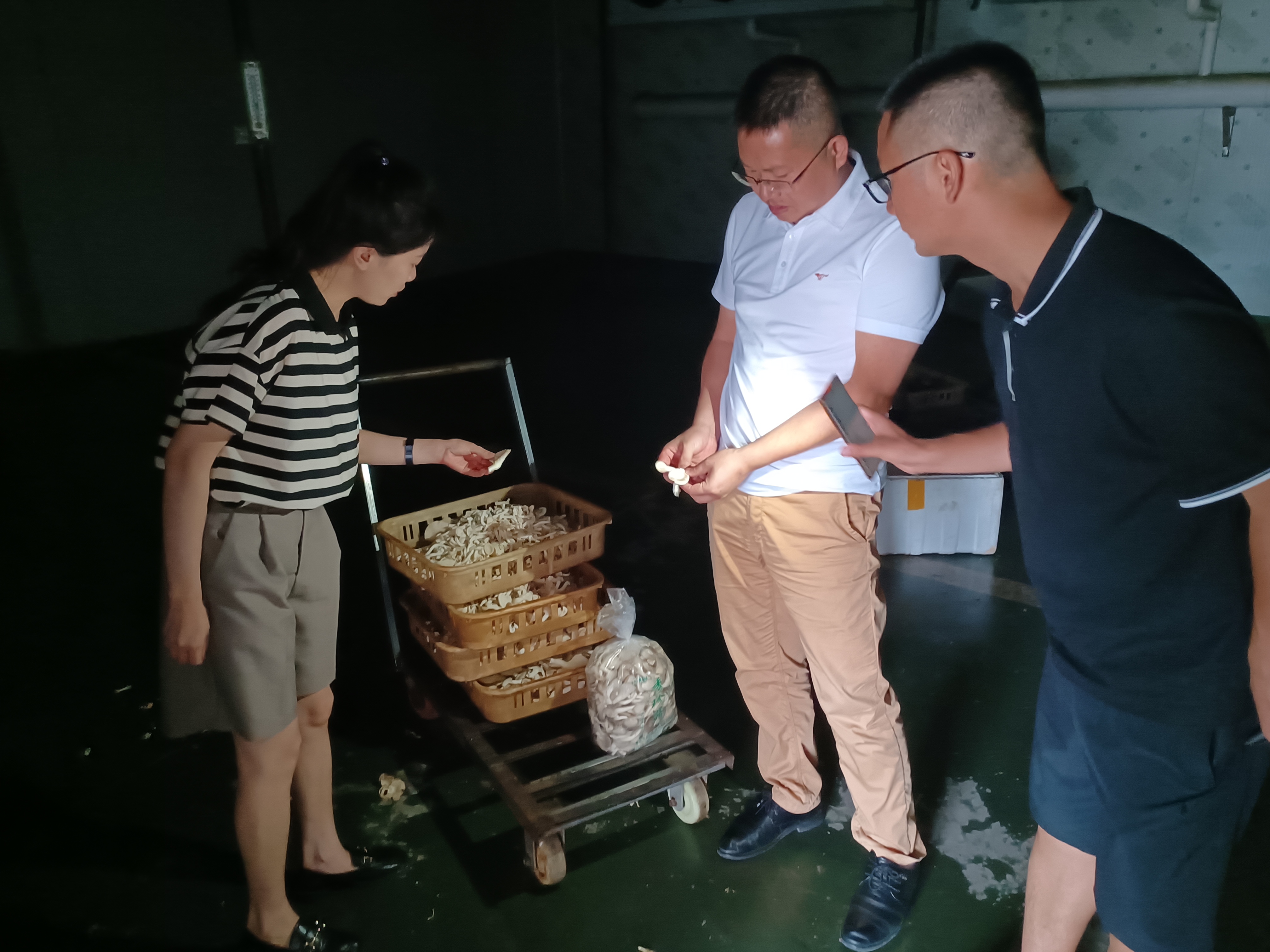 微信图片_202307061902254.jpg