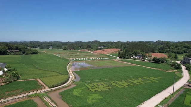 三年1000个!宜宾这样打造向往的乡村生活(图2) 1.jpg