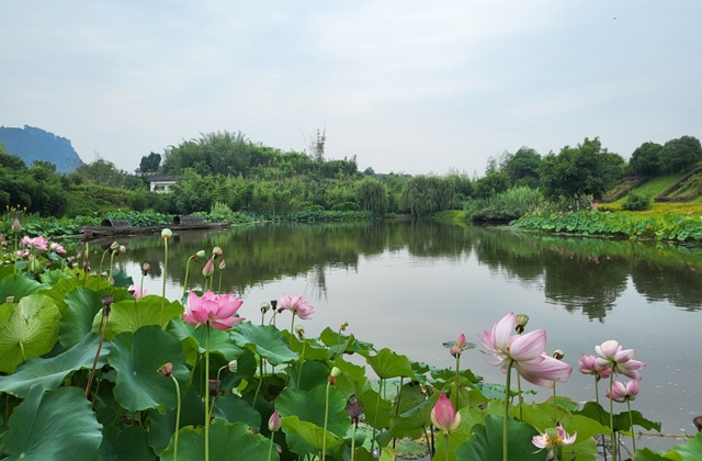 三年1000个!宜宾这样打造向往的乡村生活(图4) 3.jpg