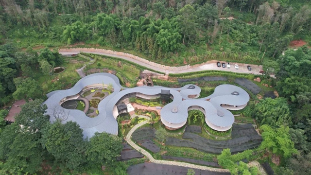 三年1000个!宜宾这样打造向往的乡村生活(图13) 12.jpg