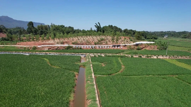 三年1000个!宜宾这样打造向往的乡村生活(图9) 8.jpg