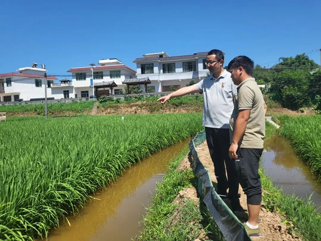 三年1000个!宜宾这样打造向往的乡村生活(图10) 9.jpg