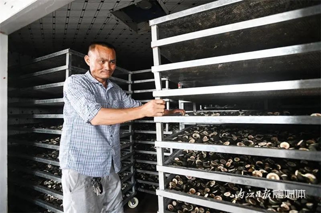 大丰收!内江这里4500余亩“小青果”迎来采摘季(图11) 11.jpg