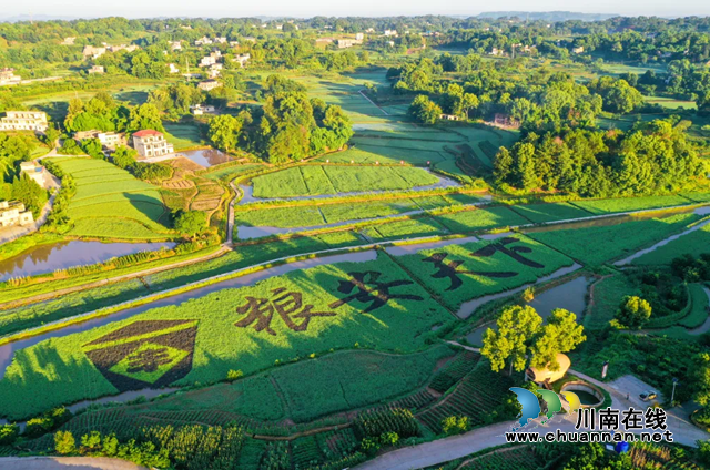 图片5.png