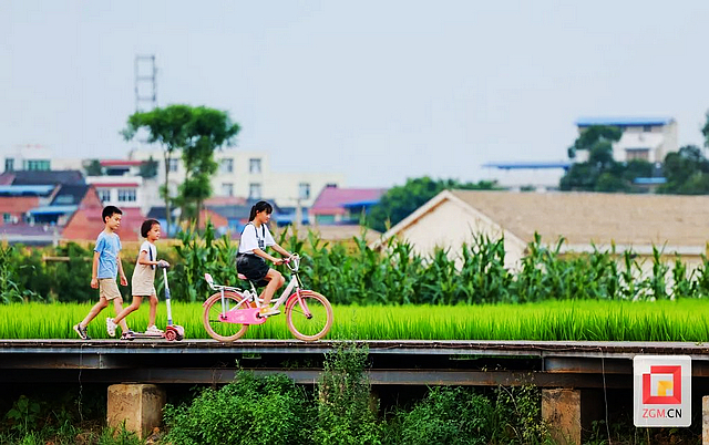 荣县赖河坝:“好粮仓”里“好风光”(图3) nEO_IMG_3.jpg