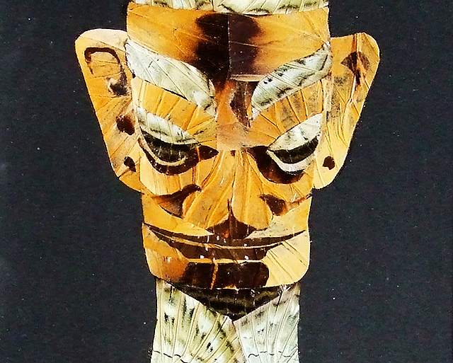 您不晓得,这位纳溪人正在为大运会忙前忙后(图6) nEO_IMG_6.jpg