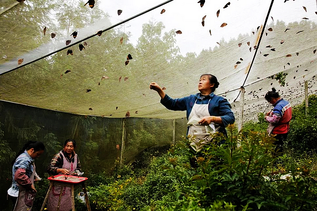 您不晓得,这位纳溪人正在为大运会忙前忙后(图12) nEO_IMG_12.jpg